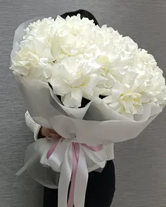 БЕЛОСНЕЖКА